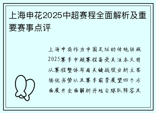 上海申花2025中超赛程全面解析及重要赛事点评